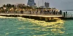 أسعار تذاكر جدة بيير 2026