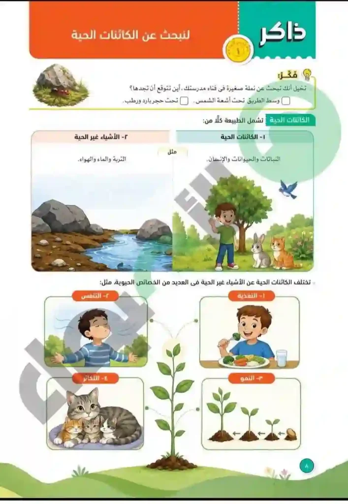 كتاب الأضواء علوم رابعة ابتدائي