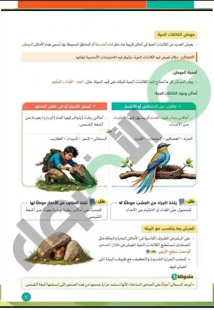 كتاب الأضواء علوم رابعة ابتدائي