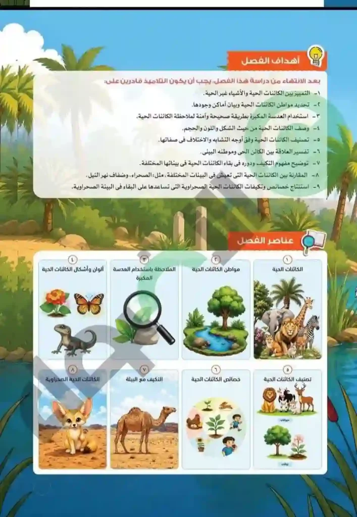 كتاب الأضواء علوم رابعة ابتدائي